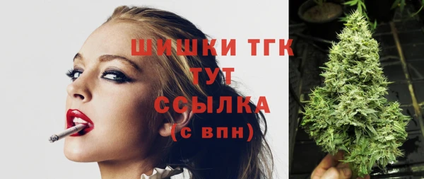 стаф Абаза