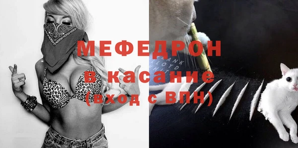 стаф Абаза