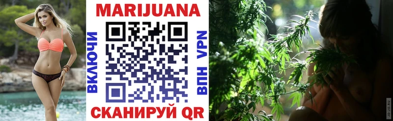 Конопля SATIVA & INDICA продажа наркотиков Судогда